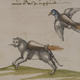 Illustration for article titled These Are the Most Bizarre Deadly Weapons in Human History